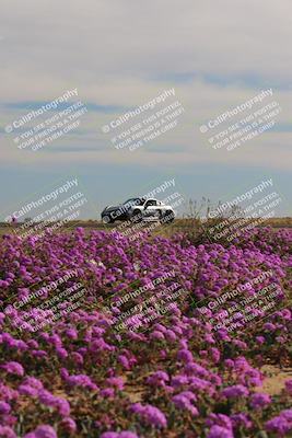 media/Jan-08-2023-SCCA SD (Sun) [[8f6a5b9391]]/Intermediate Group/Session 2 (Short Straight)/